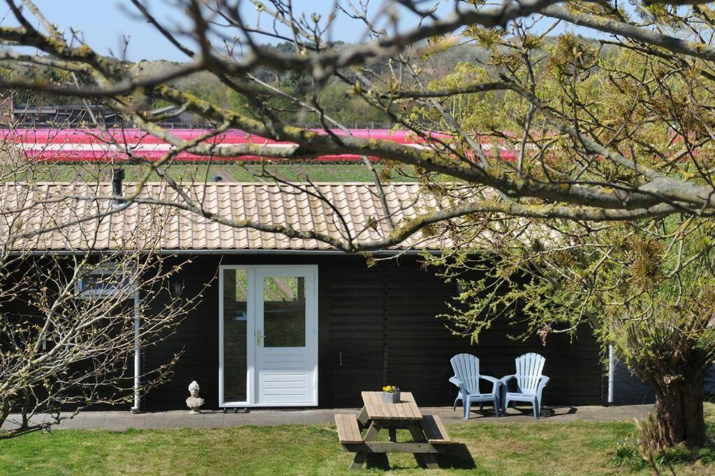 Chalet Egmond Egmond aan den Hoef Luaran gambar