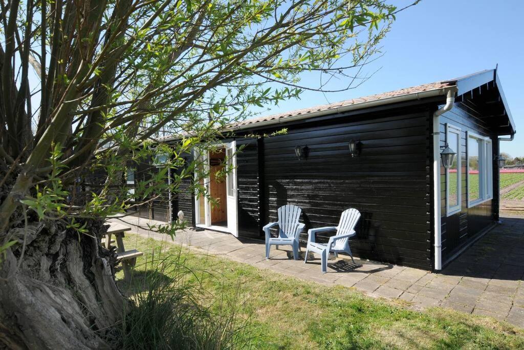 Chalet Egmond Egmond aan den Hoef Luaran gambar